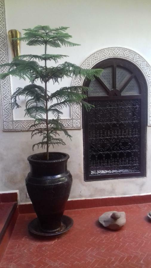 Riad Sidi Ayoub Marrakesh Ngoại thất bức ảnh